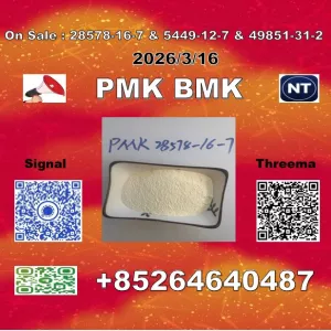 Where to Buy CAS No. 28578-16-7 P.MK Oil