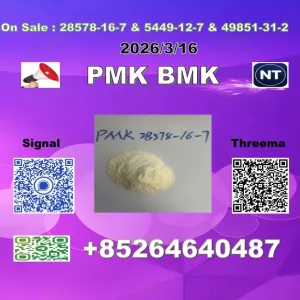 B.MK Powder 5449-12-7 99% Pure and New P.MK 28578-16-7