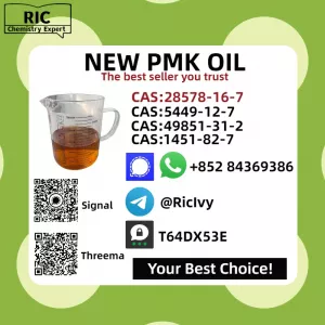 High Quality NEW P.MK OIL CAS 28578-16-7/52190-28-0