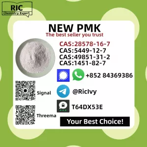 New P.M.K CAS 28578-16-7 Direct Manufacturer 5449