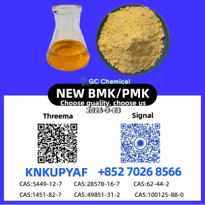 Bulk Stock 28578-16-7 P.M.K CAS 5449-12-7 New B..M.K Powder Oil