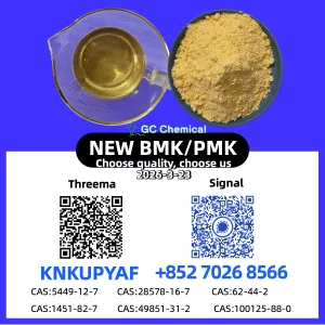 Stock Supply 28578-16-7 P.M.K B.M.K CAS 5449-12-7 New Powder/Oil