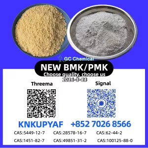 Immediate Shipment 28578-16-7 P.M.K CAS 5449-12-7 New B.M.K