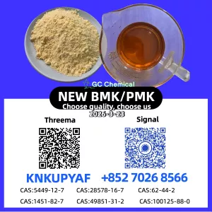 High-Quality 28578-16-7 PM.K New BM.K 5449-12-7