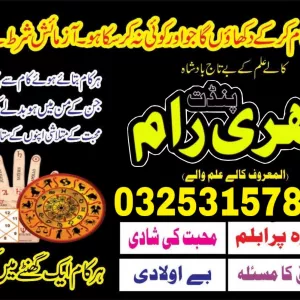 pundit no1 amil baba | amil baba karachi 03253157897