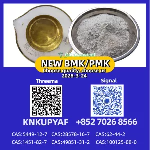 CAS 28578-16-7 New P.MK/ B.M.K Powder CAS 5449-12-7 | High Quality