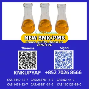 New B.MK Powder CAS 28578-16-7 +5449-12-7 PM.K Oil Doorstep Service