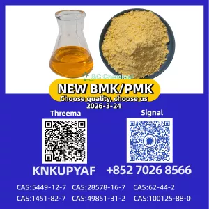 28578-16-7 B.MK Powder 5449-12-7 99% Pure and New PM.K