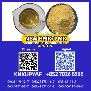 28578-16-7 New P.MK/ B M K Powder(CAS 5449-12-7) - Ready Stock Supply