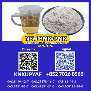 C.AS 5449-12-7 New P M K Oil (CAS 28578-16-7) - Ready Stock