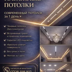 Натяжные потолки. Современный потолок за 1 день!