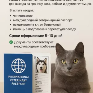 Срочное оформление документов для выезда животных за границу