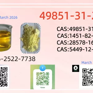 Hot sailing 28578-16-7 PM.K New BM.K 5449-12-7 CAS 49851-31-2