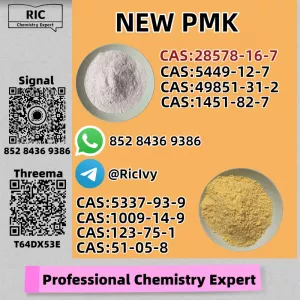 Production Origin Hub New PM.K CAS 28578-16 -7