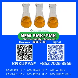 PM.K CAS 28578-16-7 Wholesale | Fast Dispatch & Secure Packaging
