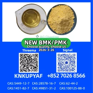 Direct Manufacturer of PM.K CAS 28578-16-7 | Export Worldwide