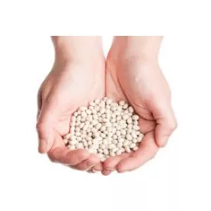 Насіння квасолі. Форвардні контракти. Гарантований викуп врожаю