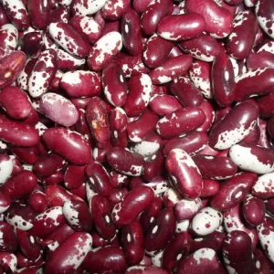 Квасоля оптом з доставкою по Україні від виробника