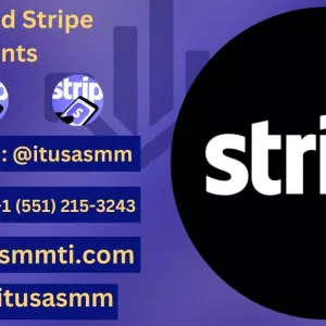 Expert Tips for Beginners Buy Verified Stripe Accounts In 
