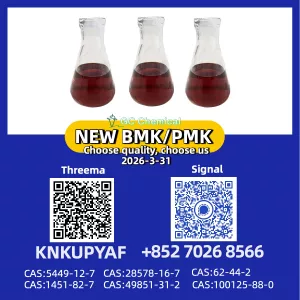 Reliable Partner PM.K 28578-16-7 with BM.K CAS 5449-12-7 & Timely Shipment