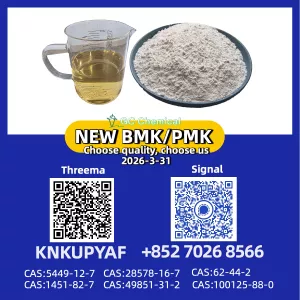 Factory Direct PM.K 28578-16-7 with BM.K CAS 5449-12-7 & Cost-Effective Pricing