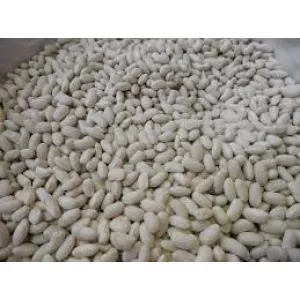 Посівмат квасолі. Форвардні контракти. Гарантований викуп врожаю.