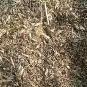 Купимо зерновідходи та некондиційне зерно. Самовивіз по Україні