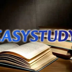 Замовити літературний огляд до ВКР в Україні