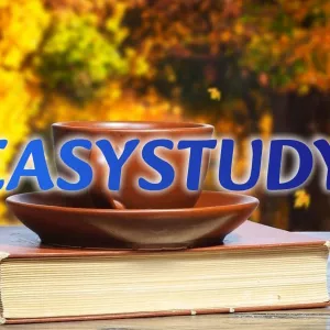 Замовити виправлення ВКР в Україні