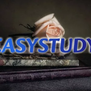 Замовити пояснювальну записку до ВКР в Україні