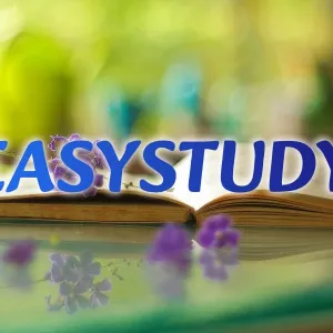 Замовити розробку стартапу до ВКР в Україні