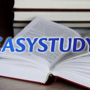 Замовити роздатковий матеріал до ВКР в Україні