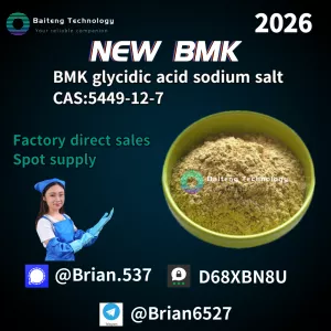 New BMK/P M K CAS 5449-12-7 28578-16-7 Factory direct sales