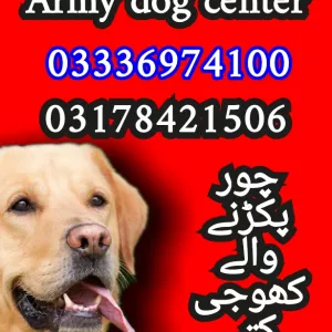 Army dog center 03336974100