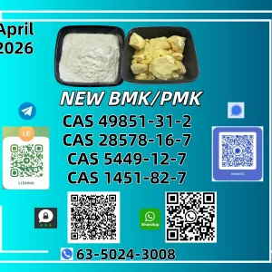 NEW BMK/PMK CAS 49851-31-2 CAS 28578-16-7In Stock
