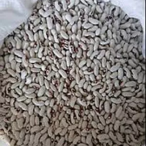 Закуповуємо квасолю по всій Україні із забезпеченням самовивозу.