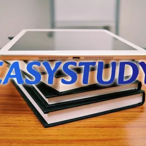 Замовити розділ дипломної роботи в Україні