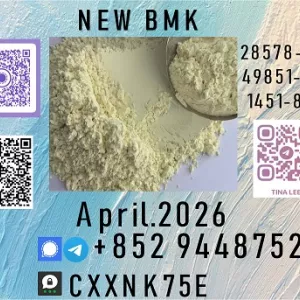 Reliable customer service B.M.K