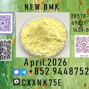 specialty chemical synthesis and export compliance B.M.K