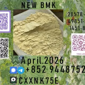 PMK ethyl glycidate 28