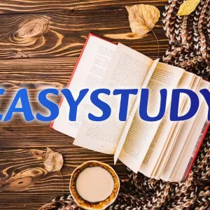 Замовити аналітичну частину дипломної роботи в Україні