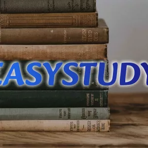 Замовити емпіричну частину дипломної роботи в Україні