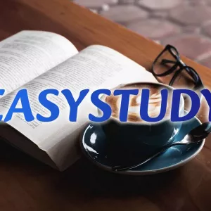 Замовити вступ дипломної роботи в Україні