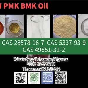 NEW PMK BMK Powder Oil CAS 1009-14-9 Raw Materials precursor