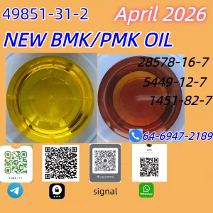 NEW BMK AND PMK CAS49851-31-2