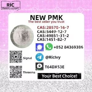 P.mk Glycidic Acid CAS 28578-16-7 B.MK 41232 97 7