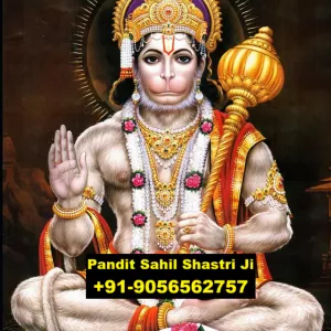 Love Marriage Problem Solution Specialist Baba Ji +91-9056562757