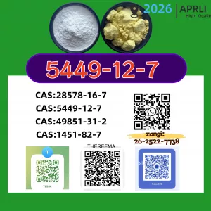 Global P.MK Delivery NEW High Quality Best Price 5449-12-7 Trusted Supplier