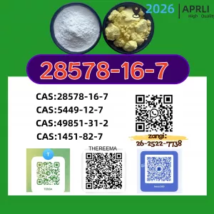 High Quality P.MK Global NEW Delivery CAS 28578-16-7 Competitive Price