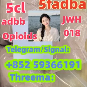 Buy 5cl 5f 5CLADBA 5FADB precursor Etomidate Powder Nitazene